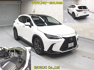 catalog-car-5