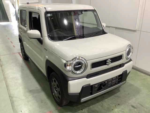 SUZUKI HUSTLER 2024