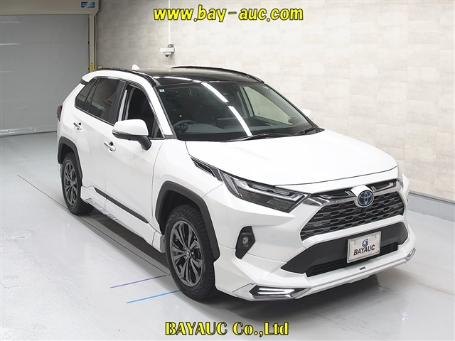 TOYOTA RAV4 2024
