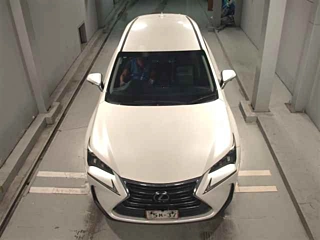 LEXUS NX 2015