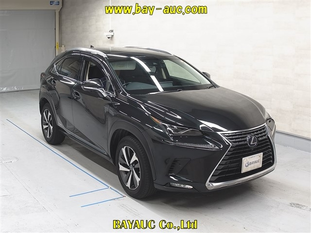 LEXUS NX 2018