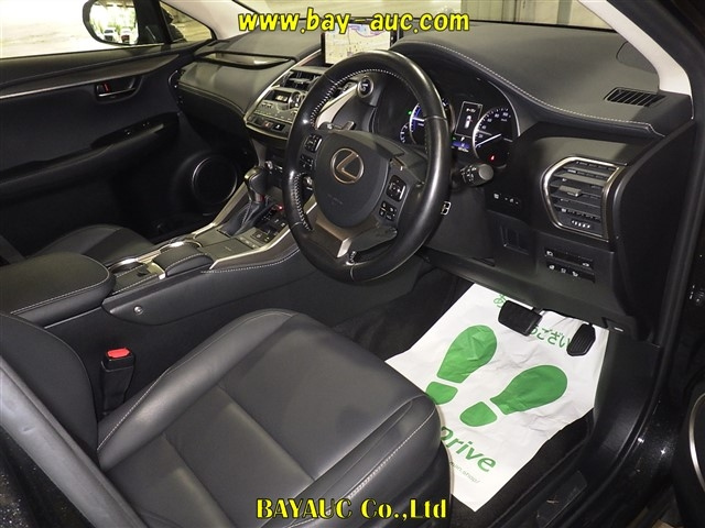 LEXUS NX 2018