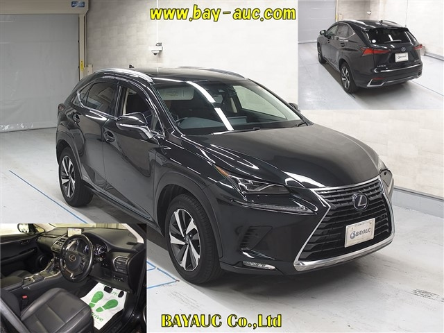 LEXUS NX 2018