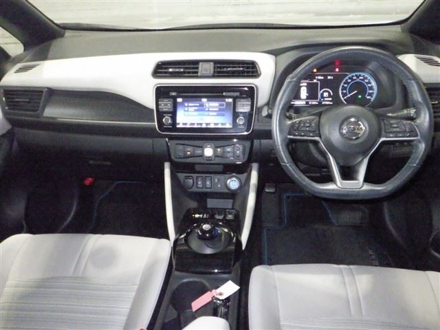 NISSAN LEAF 2018