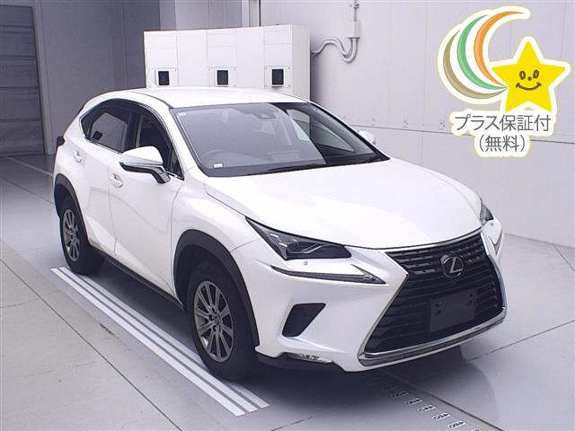 LEXUS NX 2019