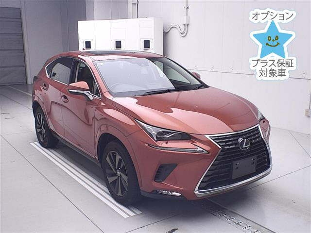 LEXUS NX 2021