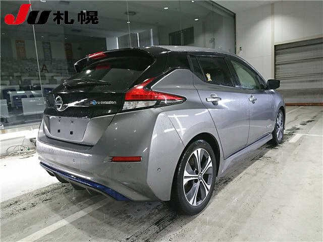 NISSAN LEAF 2019