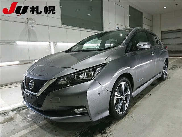 NISSAN LEAF 2019