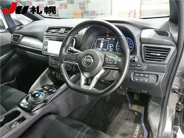 NISSAN LEAF 2019