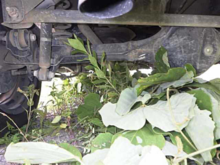 car slider