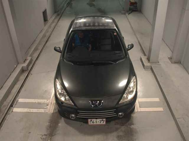 PEUGEOT 307 2008