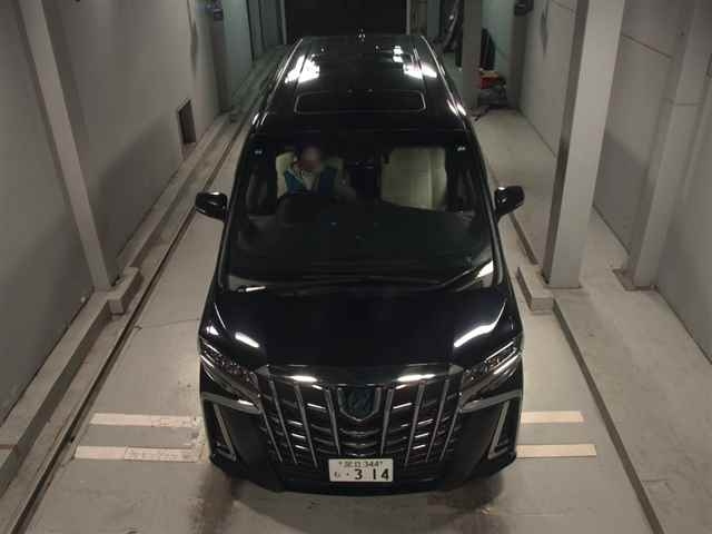 TOYOTA ALPHARD 2019