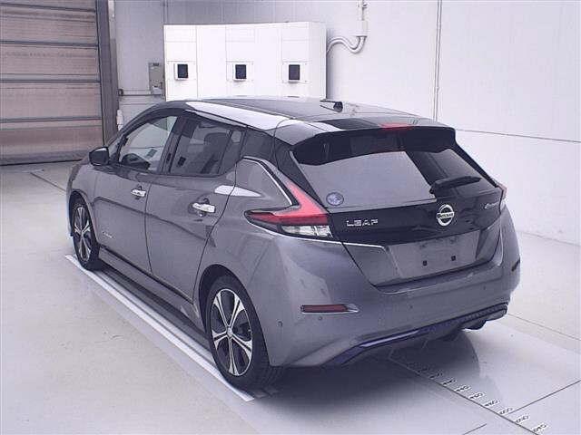 NISSAN LEAF 2019