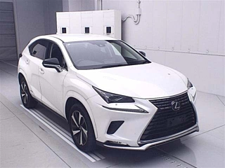 LEXUS NX 2020