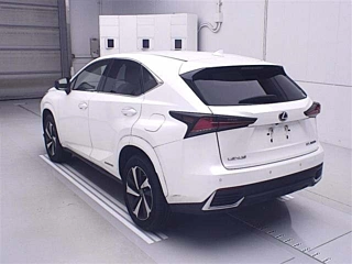 LEXUS NX 2020