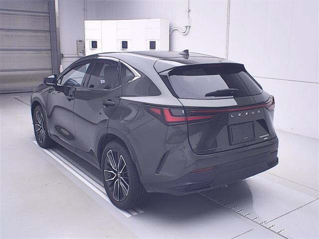 LEXUS NX 2023