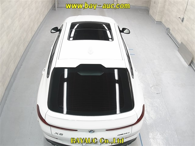 BMW X6 2021