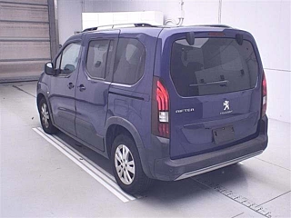 PEUGEOT OTHER 2020
