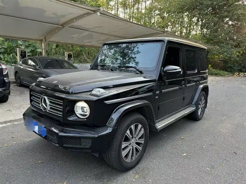 MERCEDES-BENZ G-CLASS 2019