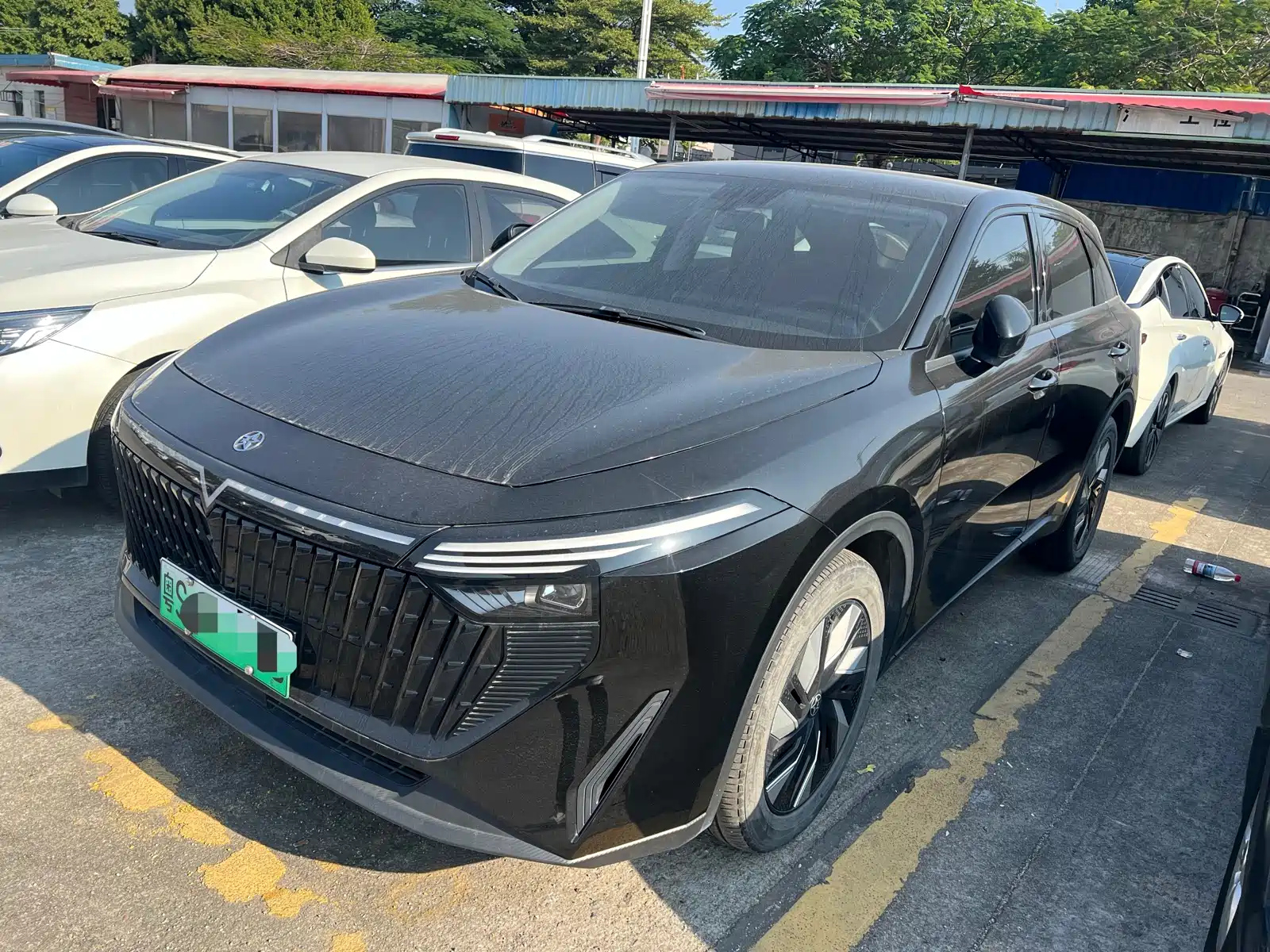 VENUCIA BIG V DD-I 2023