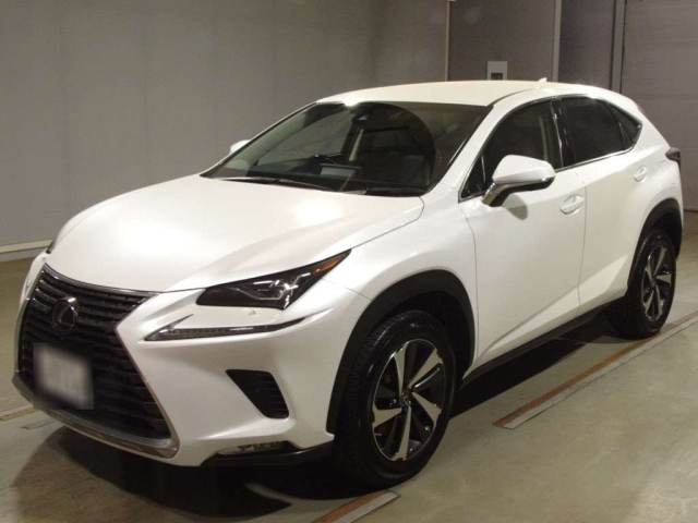 LEXUS NX 2019