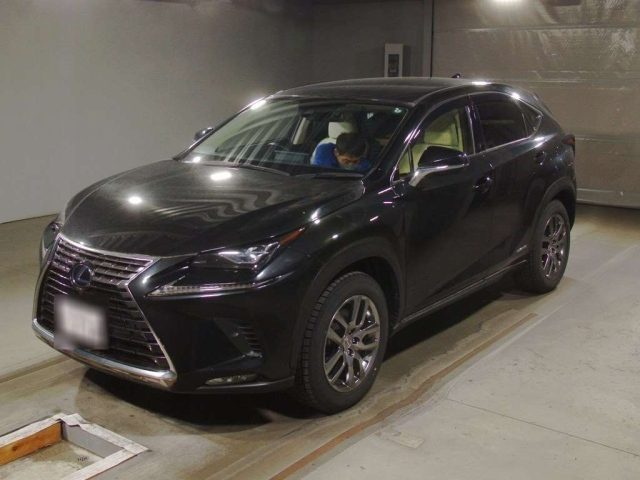 LEXUS NX 2019