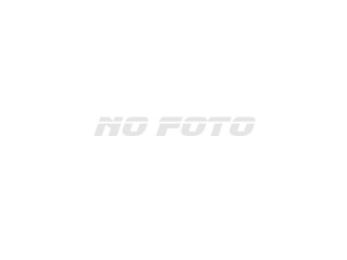 TOYOTA RAV4 2008
