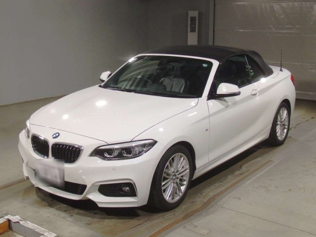 BMW 2 SERIES 2019