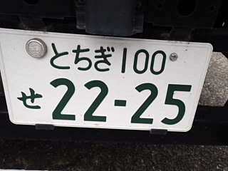 ISUZU ELF 2020