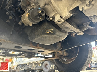 ISUZU ELF 2020