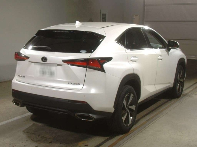 LEXUS NX 2019