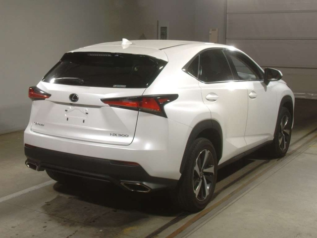 LEXUS NX 2020