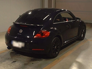VOLKSWAGEN THE BEETLE