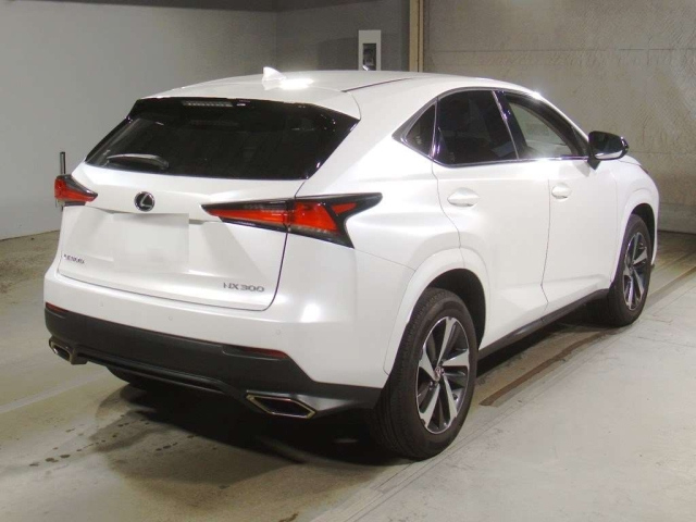 LEXUS NX 2021