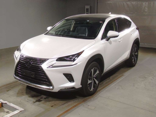 LEXUS NX 2020