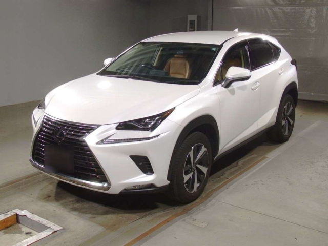 LEXUS NX 2021