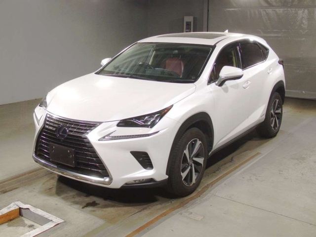 LEXUS NX 2019