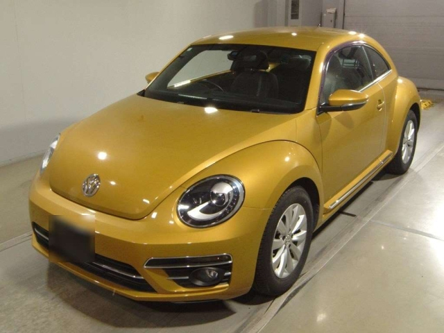 VOLKSWAGEN THE BEETLE 2016