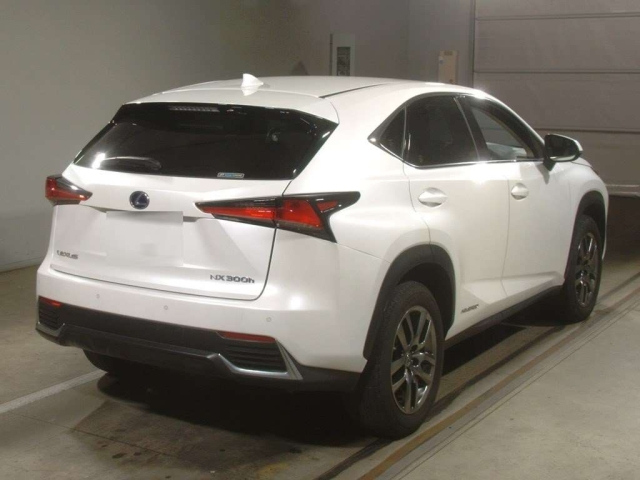 LEXUS NX 2018