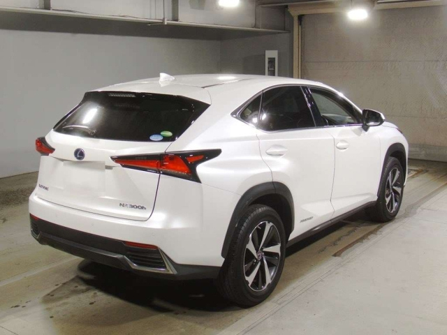 LEXUS NX 2020