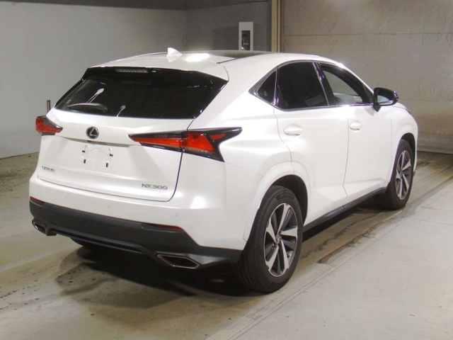 LEXUS NX 2020