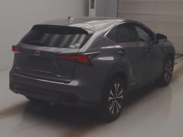 LEXUS NX 2018
