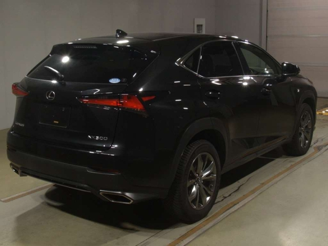 LEXUS NX 2019