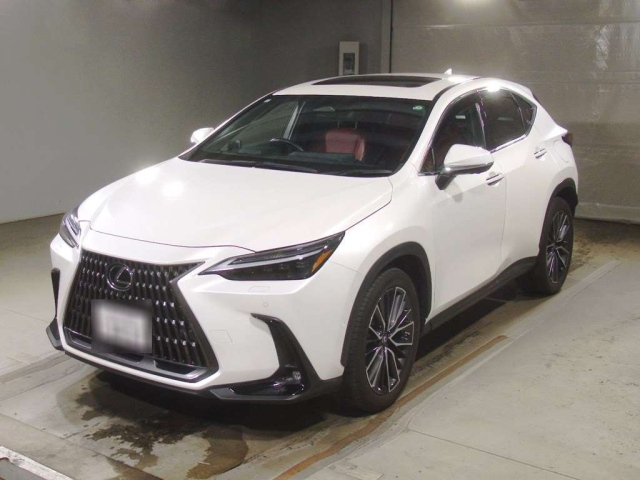 LEXUS NX 2023