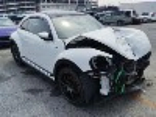 Заказать VOLKSWAGEN THE BEETLE