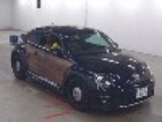Заказать VOLKSWAGEN THE BEETLE