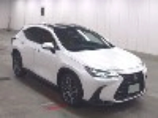Заказать LEXUS NX