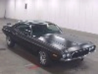 Заказать DODGE TEA RENCP
