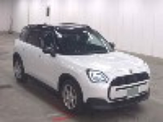 Заказать MINI OTHER