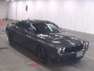 Заказать DODGE TEA RENCP